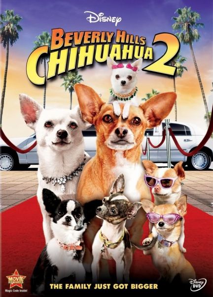 Perdido Pra Cachorro 2